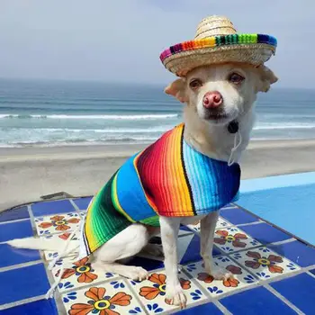 Aranyos Mini Kiskutya Szalma Szövet Kalap Sapka Mexikói Sombrero Pet Supplies